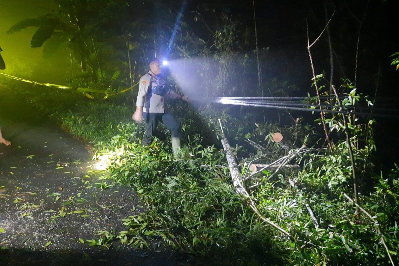 Pohon Tumbang Akibat Hujan Deras di Sapuran, Arus Lalu Lintas Sempat Terhenti