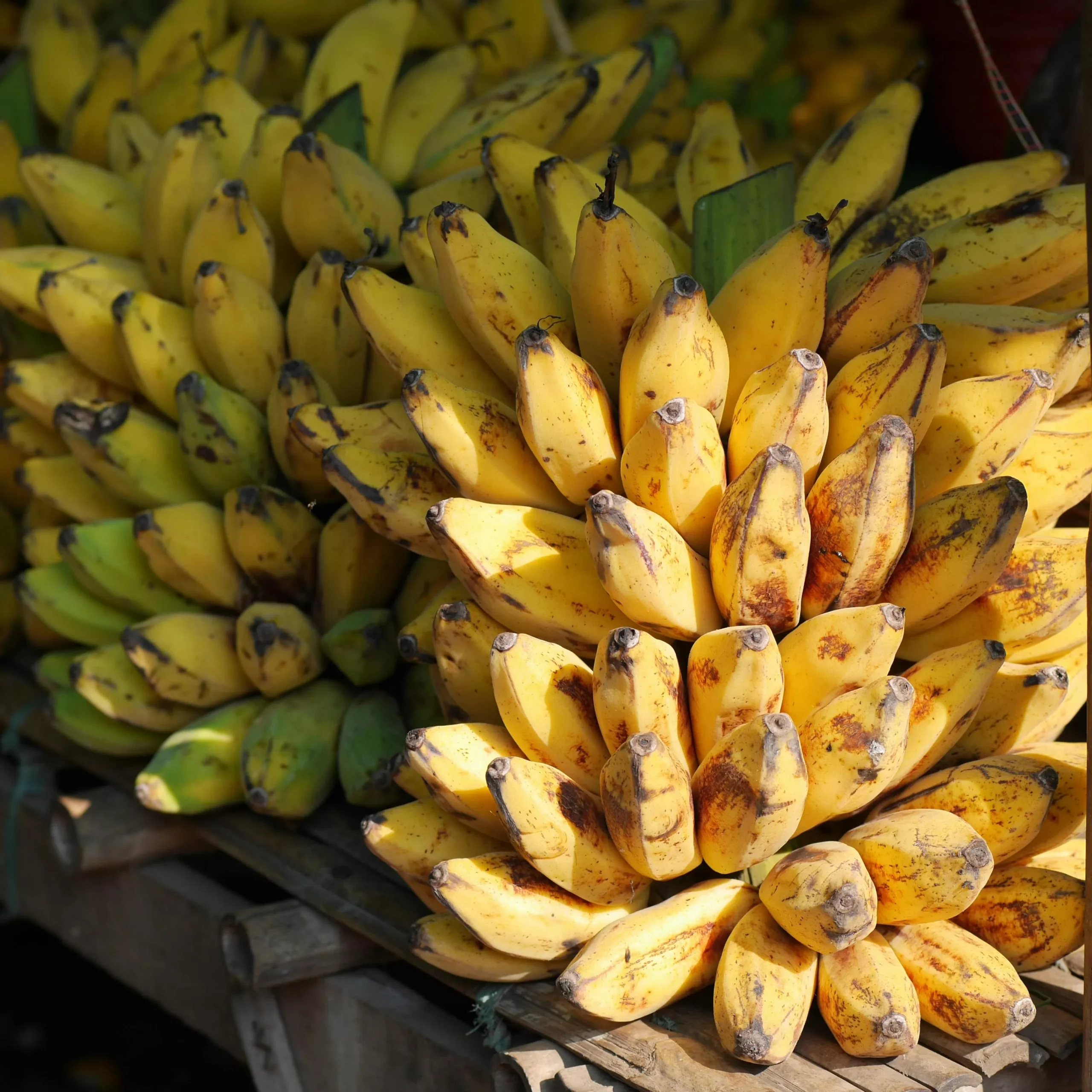 Daerah Penghasil Pisang Terbanyak di Jawa Tengah