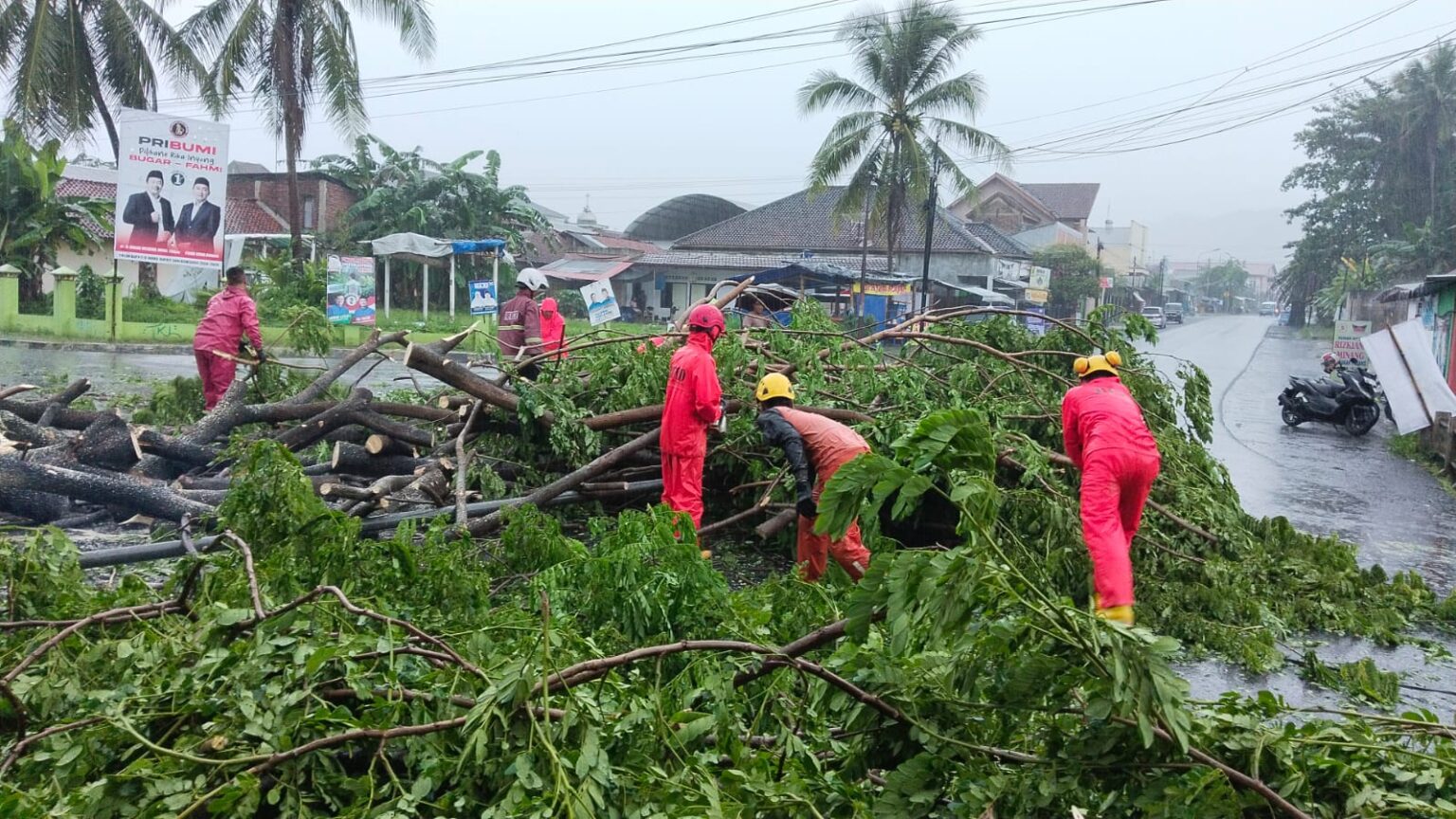 Hujan Lebat dan Angin Kencang Sebabkan Pohon Tumbang di Madukara, Banjarnegara