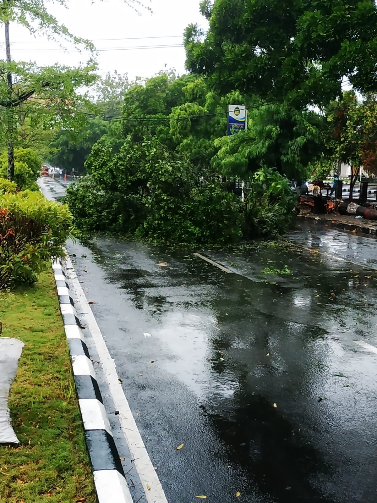 Hujan deras disertai petir di Purbalingga