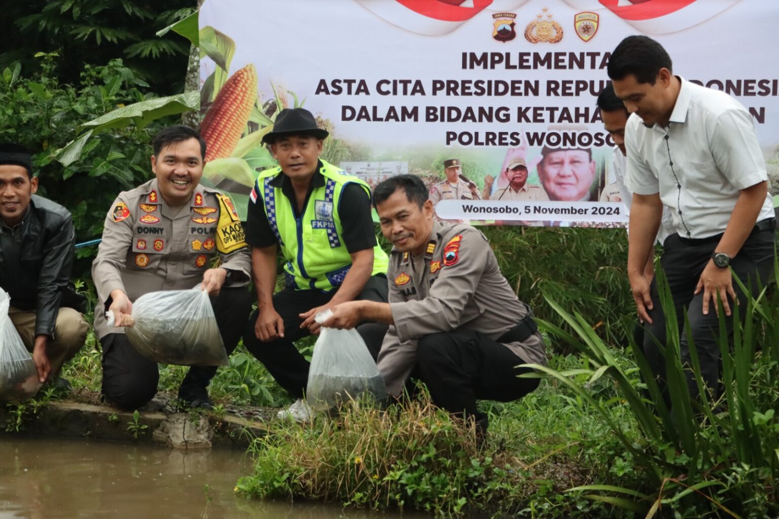 Penaburan benih ikan nila