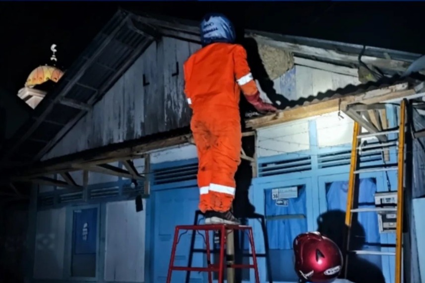 Pemadam Kebakaran BPBD Wonosobo Gelar Operasi Tangkap Tawon (OTT) untuk Lindungi Warga dari Bahaya Sengatan