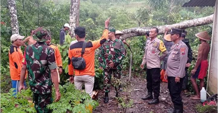 Hujan Lebat dan Angin Kencang di Kebumen: Pohon Tumbang Rusak Rumah Warga