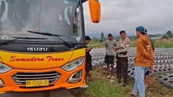 Terungkap Asal-Usul Bus yang Mengangkut Rombongan Pendaki Tersesat di Jalur Sempit Desa Kwadungan, Wonosobo