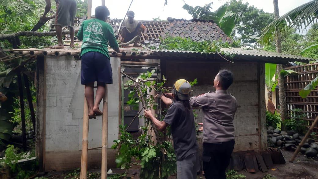 Hujan Deras dan Angin Kencang Landa Kemangkon, Sebuah Pohon Tumbang Timpa Rumah Warga