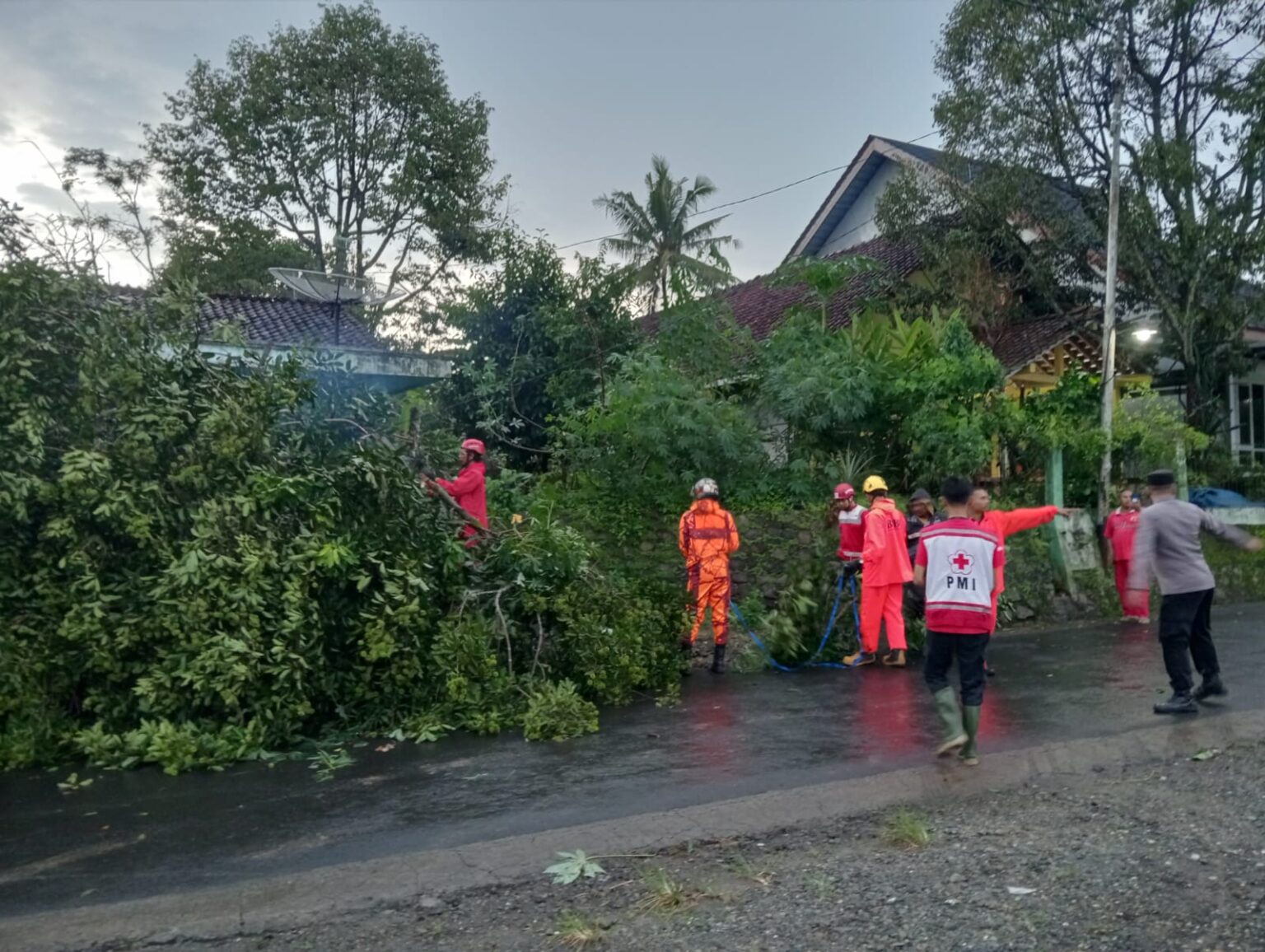 Hujan Lebat Disertai Angin Kencang Sebabkan Pohon Tumbang di Banjarnegara