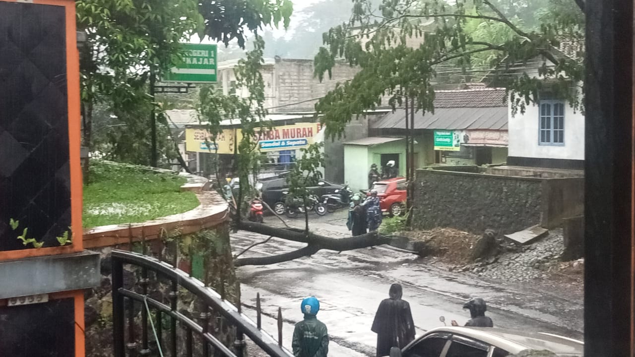 Pohon Tumbang Tutup Jalan Raya Wonosobo-Sapuran, BPBD Lakukan Evakuasi