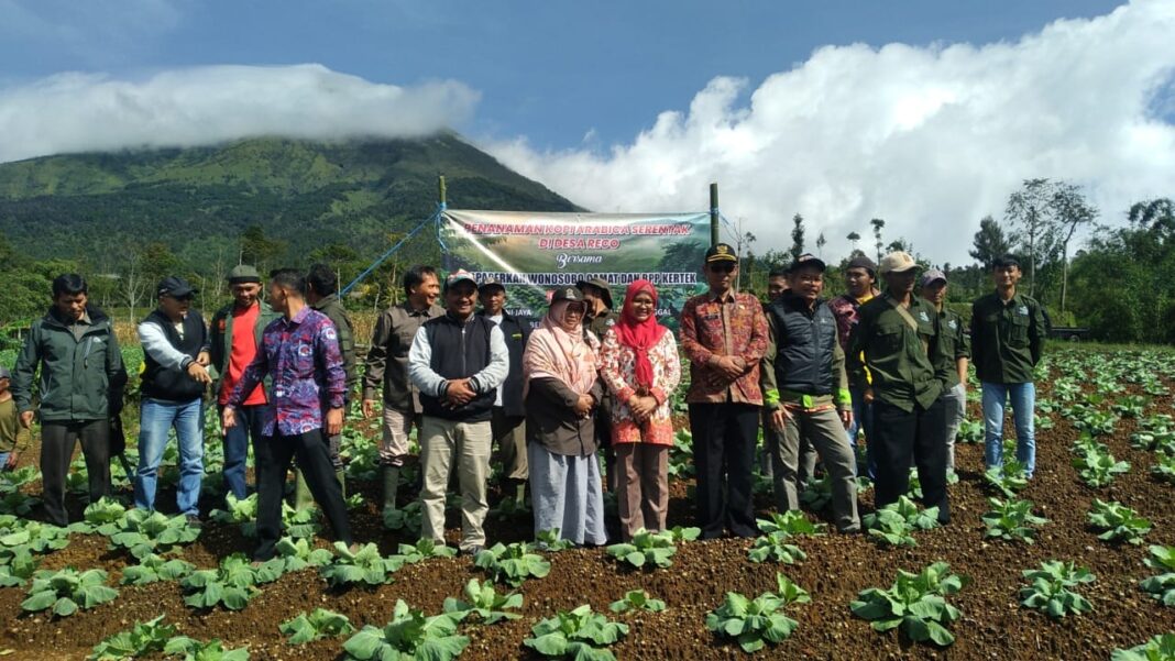 Penanaman 24 Ribu Bibit Kopi Arabika di Desa Reco Kecamatan Kertek: Langkah Menuju Kesejahteraan Petani Kopi Wonosobo