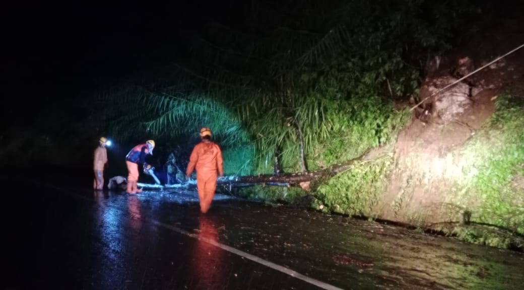 Cuaca Ekstrem Melanda Wonosobo: Bencana Alam Terjadi di Beberapa Kecamatan