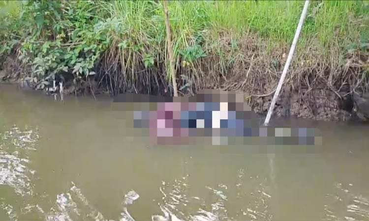 Penemuan Mayat Perempuan Tanpa Identitas di Sungai Ciberem Gegerkan Warga Kampung Laut