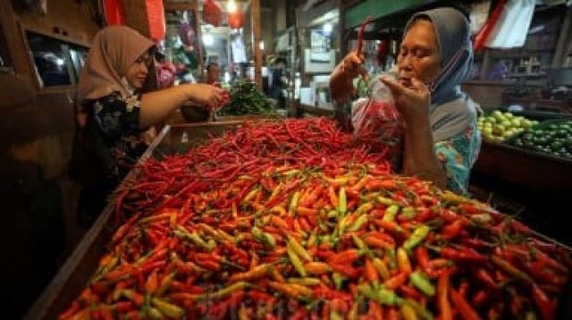 Temanggung Perluas Lahan Cabai Hingga 11.500 Hektare di 2025