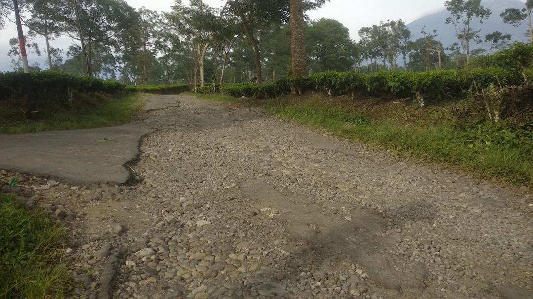 Jalan Rusak di Desa Ngadisalam dan Marongsari, Kecamatan Sapuran, Wonosobo Kian Memprihatinkan