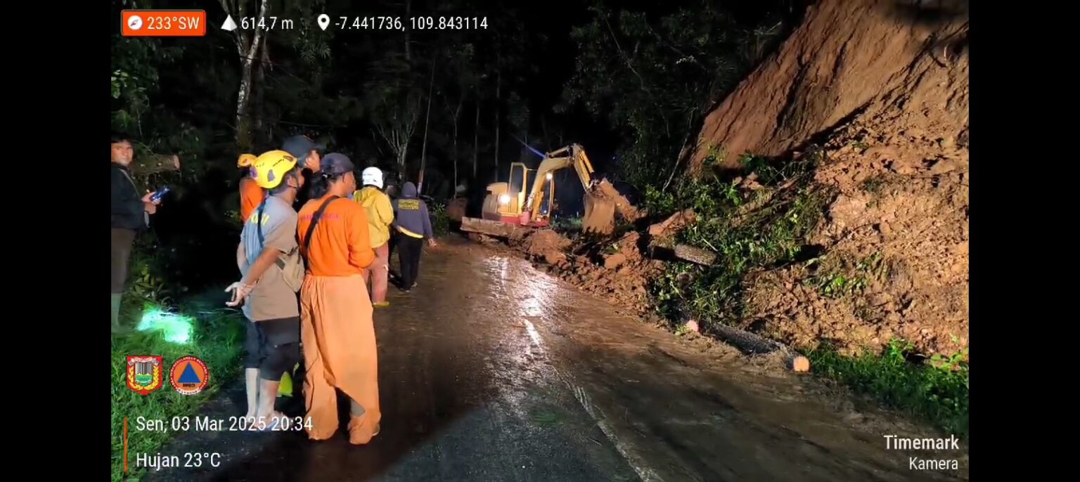 Tanah Longsor dan Pohon Tumbang di Wonosobo, Akses Jalan Sawangan-Kaliwiro Sempat Tertutup