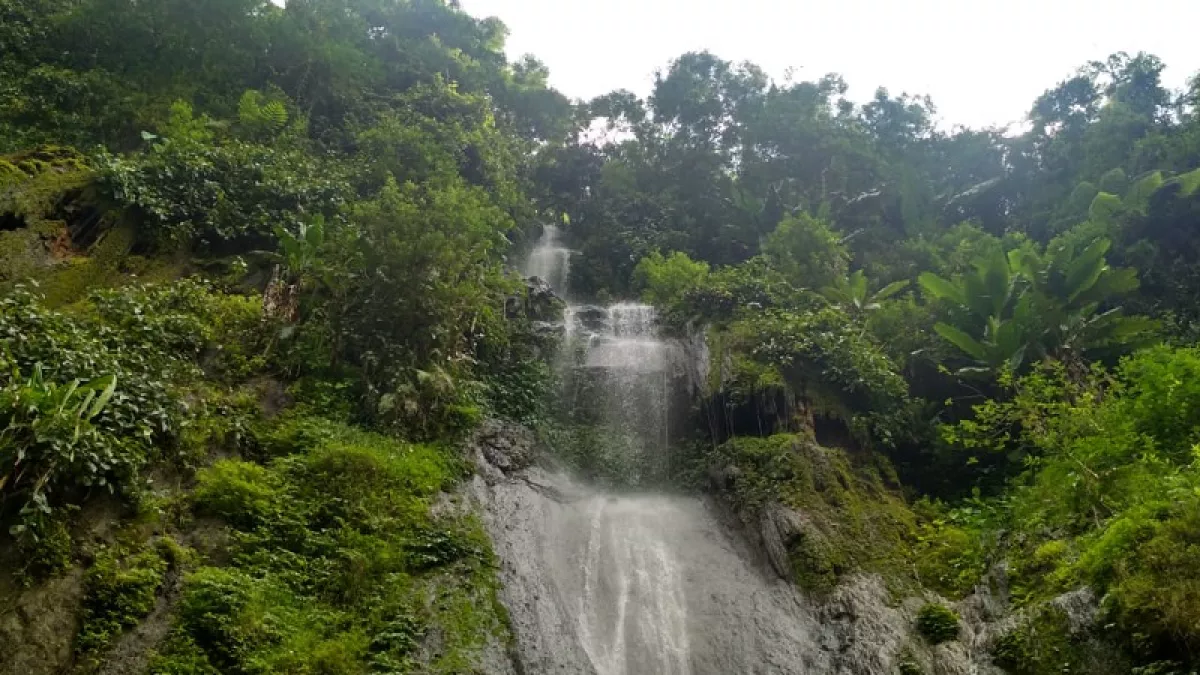 Desa Kalidesel: Surga Tersembunyi dengan Tujuh Air Terjun Eksotis