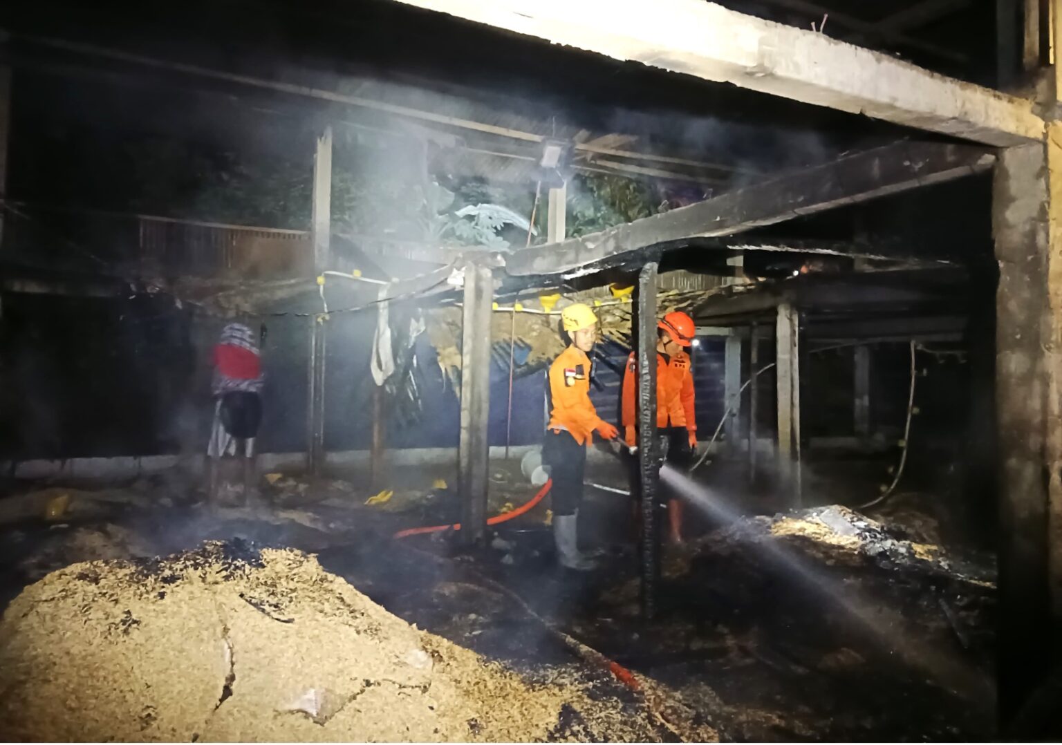 Kandang Ayam Terbakar di Kaliwiro, 5.000 Ekor Ayam Mati dan Kerugian Capai Rp50 Juta