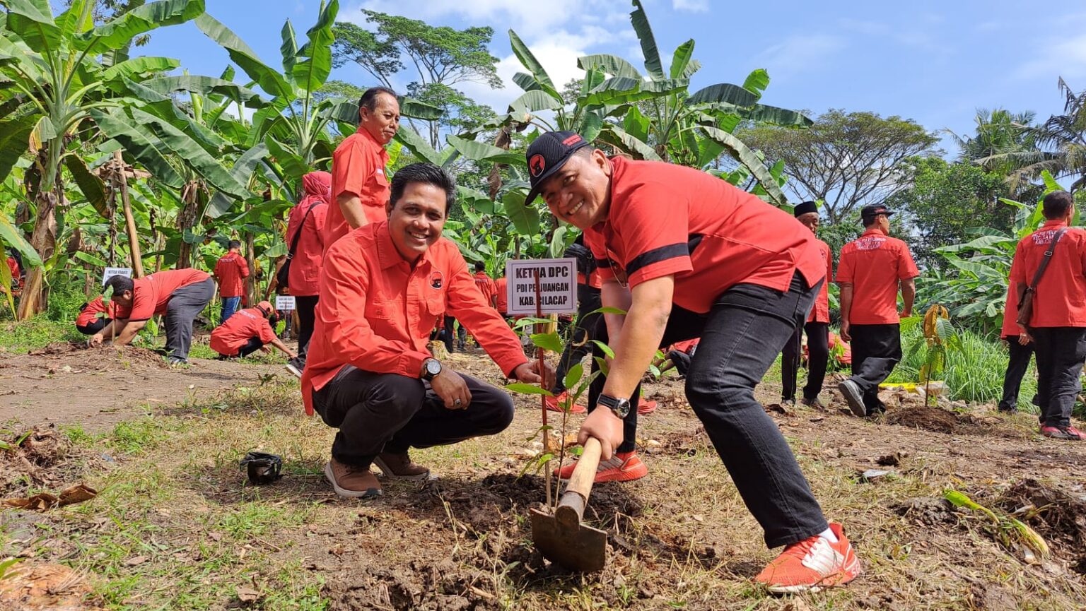 DPC PDI Perjuangan Cilacap Tanam 500 Pohon Kakao: Lingkungan Lestari, Ekonomi Rakyat Sejahtera