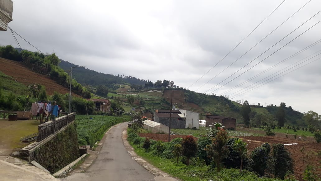 Menjelajahi Keindahan Lereng Gunung Prau: Pesona Alam, Pertanian Tangguh, dan Kehidupan Pedesaan yang Autentik