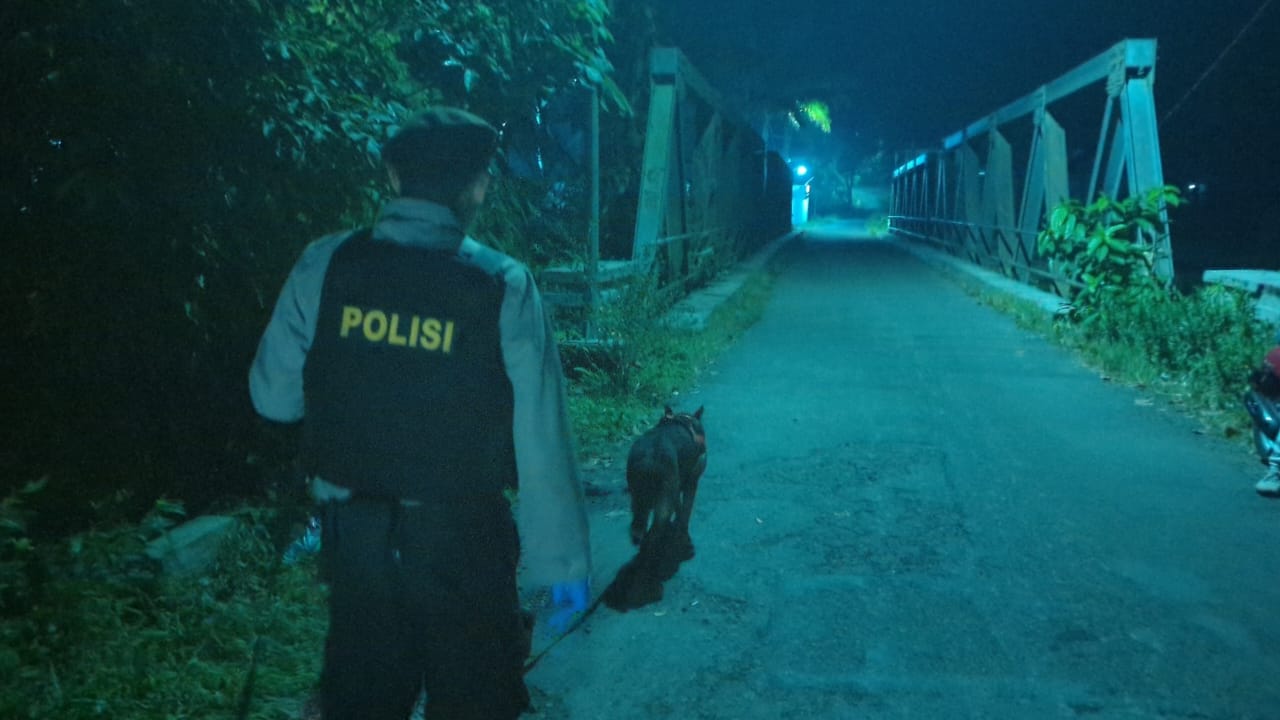 Terjunkan Anjing Pelacak K9 Ungkap Kasus Penemuan Mayat