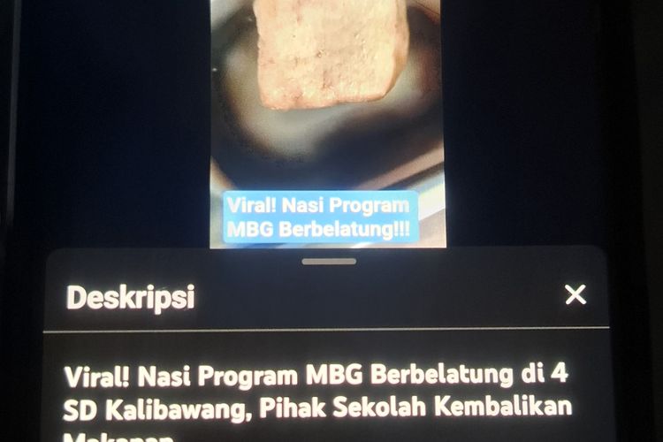 Kasus Belatung